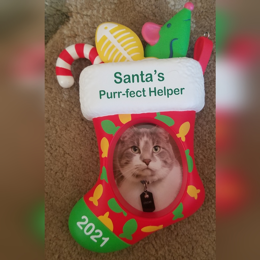 Hallmark Christmas Ornament Santas pet helper 2021